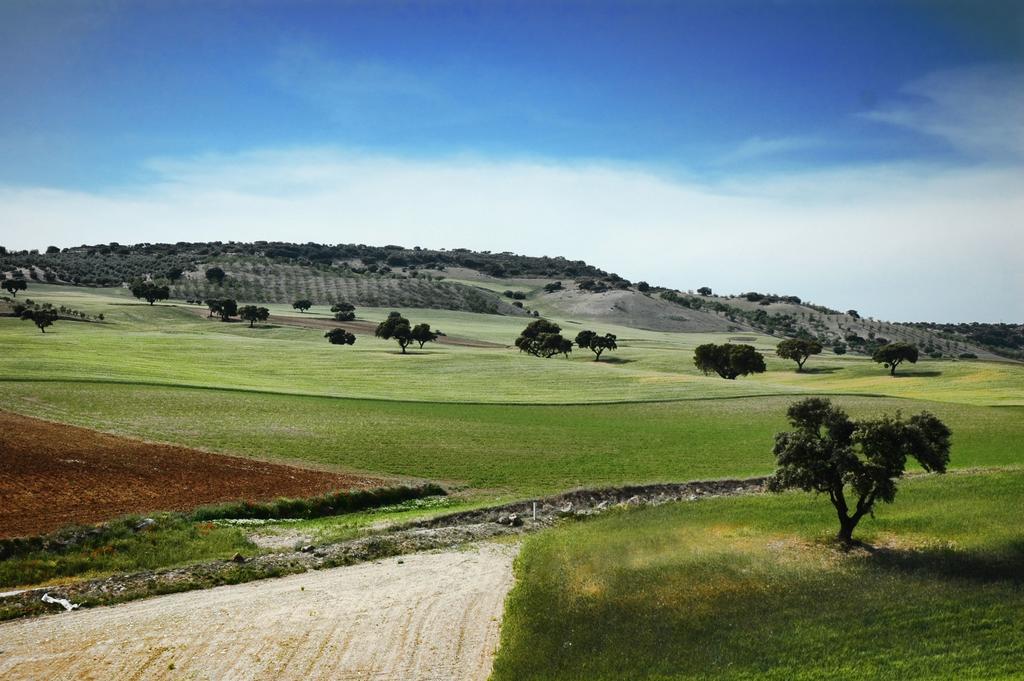 Apartamentos Turisticos Cortijo Garces Alhama de Granada Kültér fotó